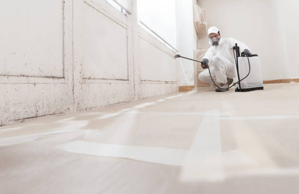 24/7 Emergency Black Mold Remediation experts in North, VA